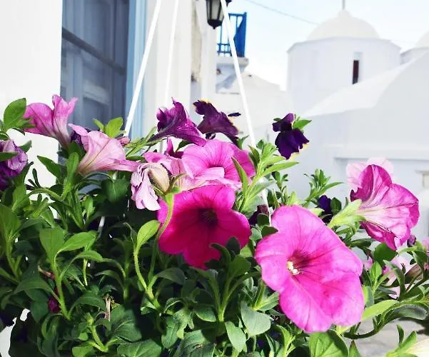 Apartmán Thomas Traditional House In Chora