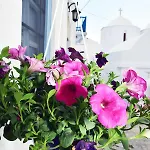 Apartment Thomas Traditional House In Chora