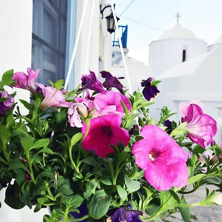 Apartment Thomas Traditional House In Chora